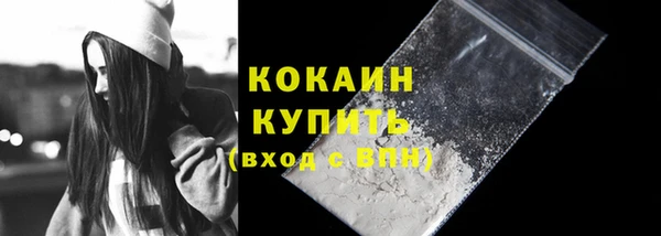 PSILOCYBIN Чегем