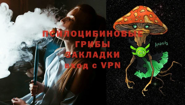 PSILOCYBIN Чегем