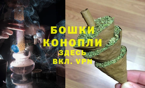 PSILOCYBIN Чегем