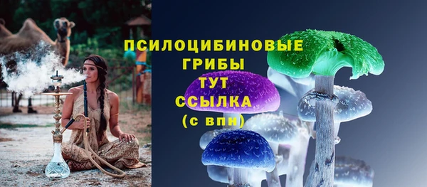 PSILOCYBIN Чегем