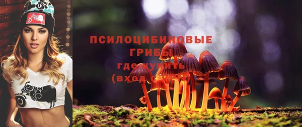 спайс Чердынь