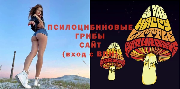 спайс Чердынь