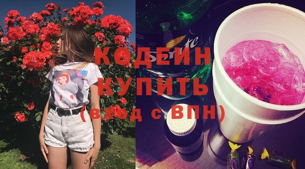 PSILOCYBIN Чегем
